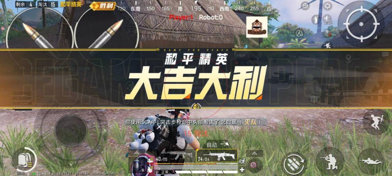和平精英辅助神明怎么开（和平精英辅助瞄准该怎么开）